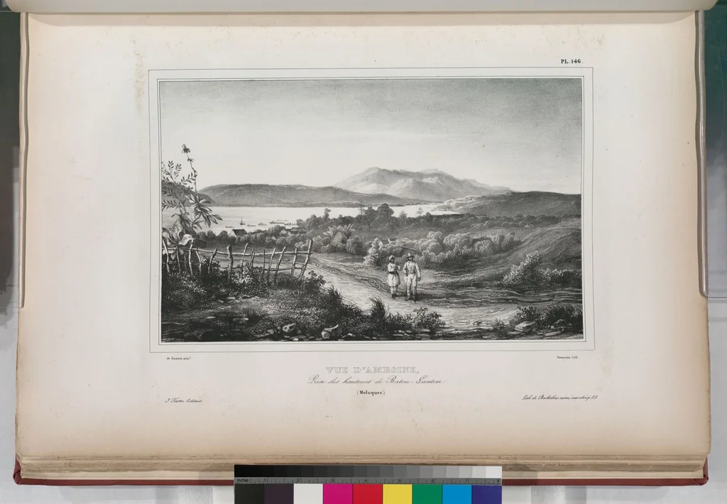 An illustration from Voyage de la corvette l'Astrolabe exécuté par ordre du roi, pendant les années 1826-1827-1828-1829, sous le commandement de M. J. Dumont d'Urville, 1830, leaf 158
