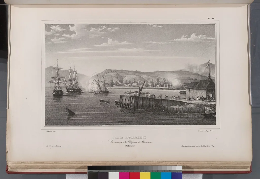 An illustration from Voyage de la corvette l'Astrolabe exécuté par ordre du roi, pendant les années 1826-1827-1828-1829, sous le commandement de M. J. Dumont d'Urville, 1830, leaf 159