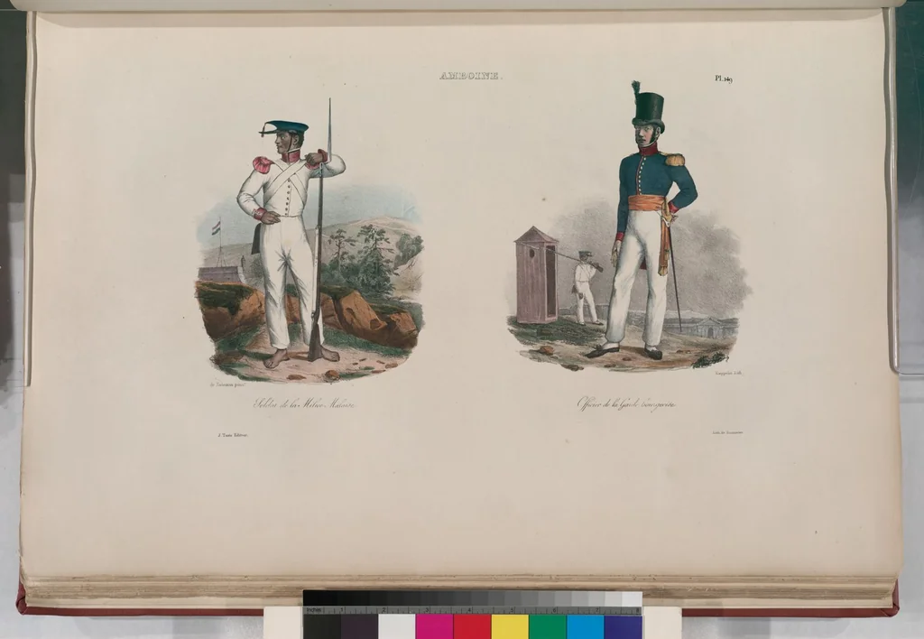An illustration from Voyage de la corvette l'Astrolabe exécuté par ordre du roi, pendant les années 1826-1827-1828-1829, sous le commandement de M. J. Dumont d'Urville, 1830, leaf 161