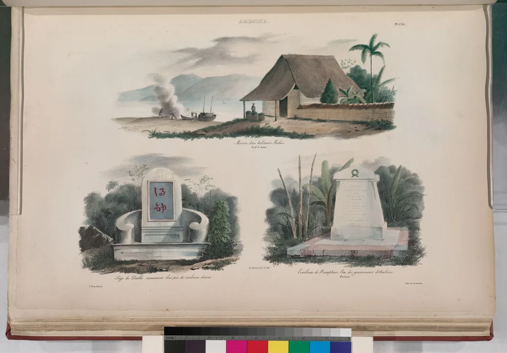 An illustration from Voyage de la corvette l'Astrolabe exécuté par ordre du roi, pendant les années 1826-1827-1828-1829, sous le commandement de M. J. Dumont d'Urville, 1830, leaf 162