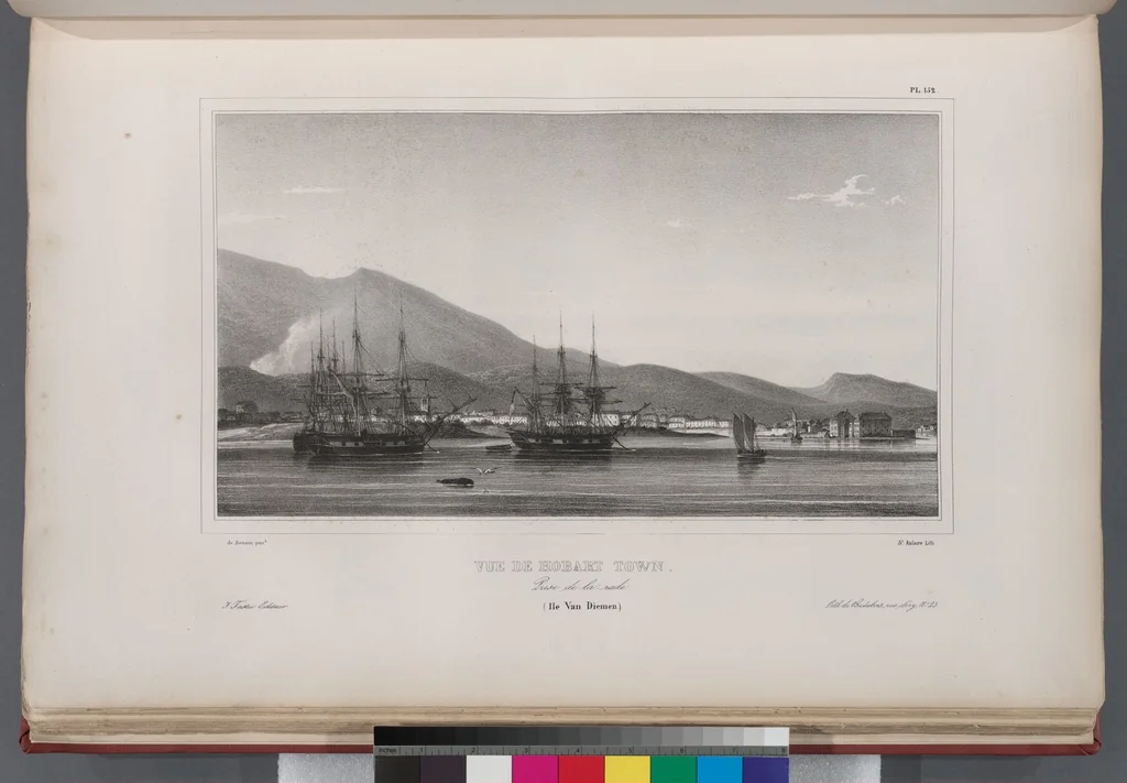 An illustration from Voyage de la corvette l'Astrolabe exécuté par ordre du roi, pendant les années 1826-1827-1828-1829, sous le commandement de M. J. Dumont d'Urville, 1830, leaf 164