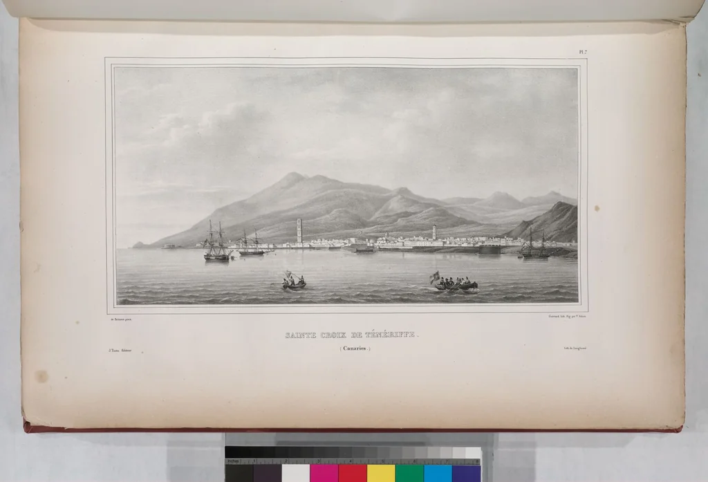 An illustration from Voyage de la corvette l'Astrolabe exécuté par ordre du roi, pendant les années 1826-1827-1828-1829, sous le commandement de M. J. Dumont d'Urville, 1830, leaf 17
