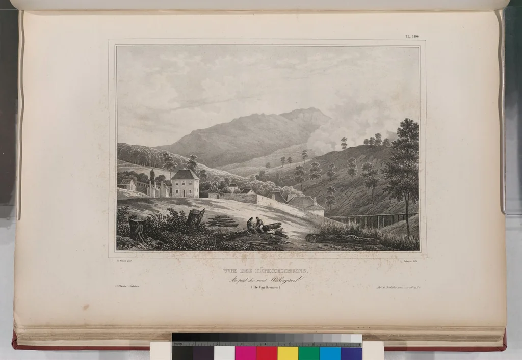 An illustration from Voyage de la corvette l'Astrolabe exécuté par ordre du roi, pendant les années 1826-1827-1828-1829, sous le commandement de M. J. Dumont d'Urville, 1830, leaf 173