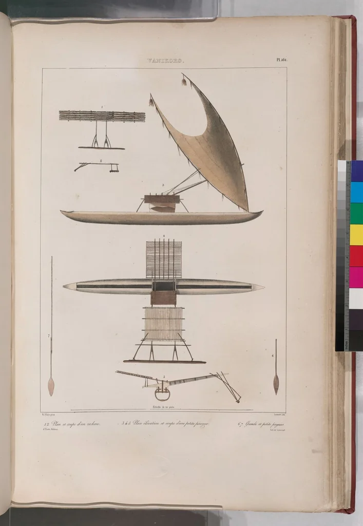 An illustration from Voyage de la corvette l'Astrolabe exécuté par ordre du roi, pendant les années 1826-1827-1828-1829, sous le commandement de M. J. Dumont d'Urville, 1830, leaf 174