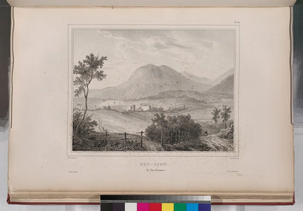 An illustration from Voyage de la corvette l'Astrolabe exécuté par ordre du roi, pendant les années 1826-1827-1828-1829, sous le commandement de M. J. Dumont d'Urville, 1830, leaf 176