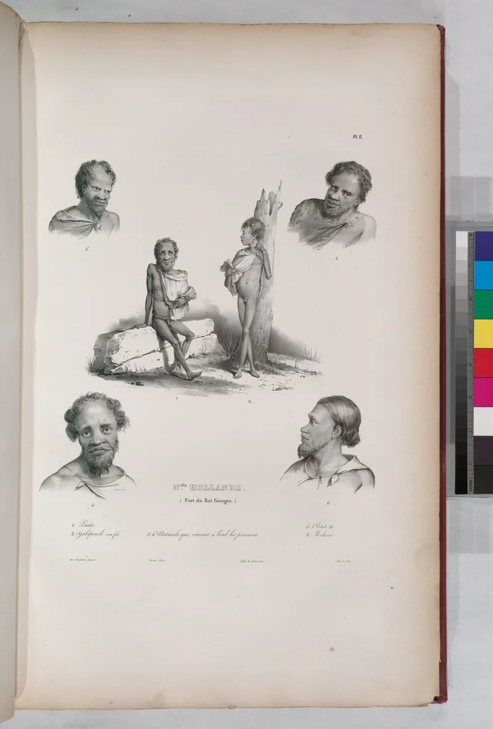 An illustration from Voyage de la corvette l'Astrolabe exécuté par ordre du roi, pendant les années 1826-1827-1828-1829, sous le commandement de M. J. Dumont d'Urville, 1830, leaf 18