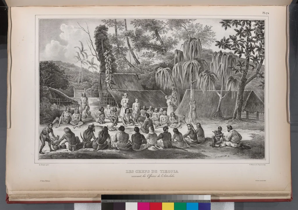 An illustration from Voyage de la corvette l'Astrolabe exécuté par ordre du roi, pendant les années 1826-1827-1828-1829, sous le commandement de M. J. Dumont d'Urville, 1830, leaf 186
