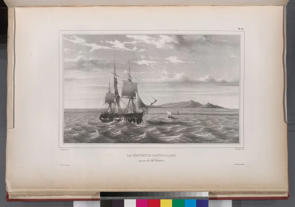 An illustration from Voyage de la corvette l'Astrolabe exécuté par ordre du roi, pendant les années 1826-1827-1828-1829, sous le commandement de M. J. Dumont d'Urville, 1830, leaf 187