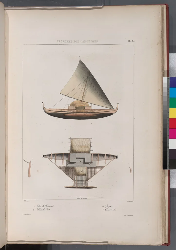 An illustration from Voyage de la corvette l'Astrolabe exécuté par ordre du roi, pendant les années 1826-1827-1828-1829, sous le commandement de M. J. Dumont d'Urville, 1830, leaf 191