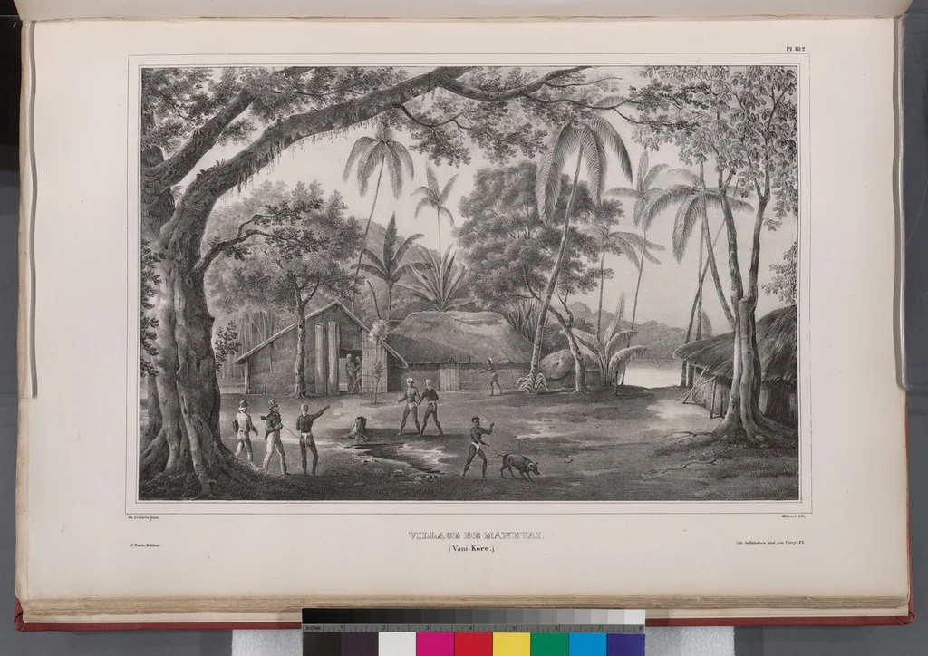 An illustration from Voyage de la corvette l'Astrolabe exécuté par ordre du roi, pendant les années 1826-1827-1828-1829, sous le commandement de M. J. Dumont d'Urville, 1830, leaf 193