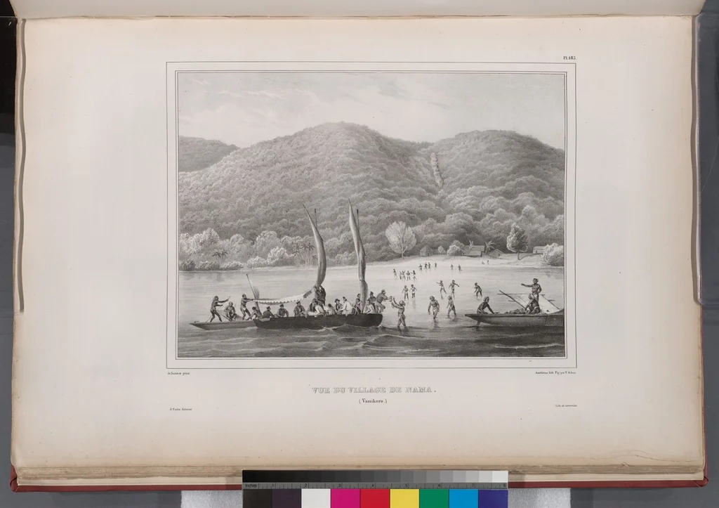 An illustration from Voyage de la corvette l'Astrolabe exécuté par ordre du roi, pendant les années 1826-1827-1828-1829, sous le commandement de M. J. Dumont d'Urville, 1830, leaf 194