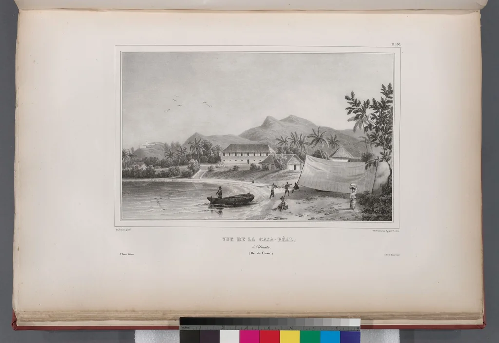 An illustration from Voyage de la corvette l'Astrolabe exécuté par ordre du roi, pendant les années 1826-1827-1828-1829, sous le commandement de M. J. Dumont d'Urville, 1830, leaf 199