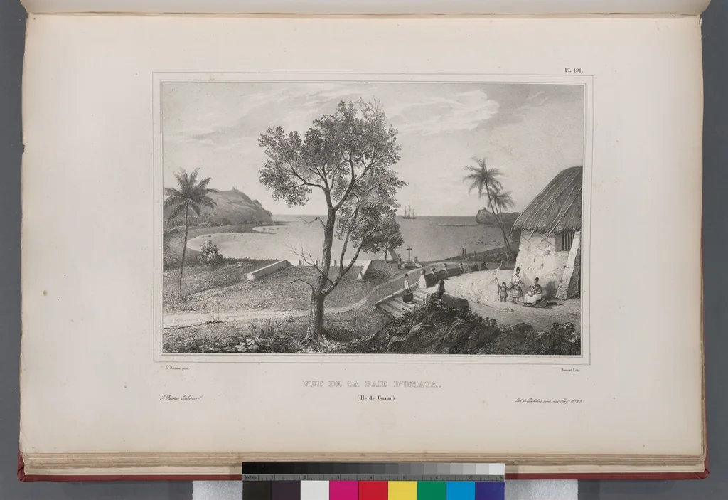 An illustration from Voyage de la corvette l'Astrolabe exécuté par ordre du roi, pendant les années 1826-1827-1828-1829, sous le commandement de M. J. Dumont d'Urville, 1830, leaf 202