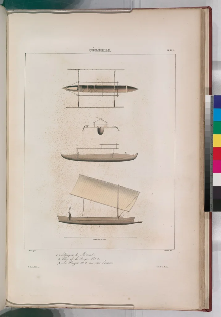 An illustration from Voyage de la corvette l'Astrolabe exécuté par ordre du roi, pendant les années 1826-1827-1828-1829, sous le commandement de M. J. Dumont d'Urville, 1830, leaf 203