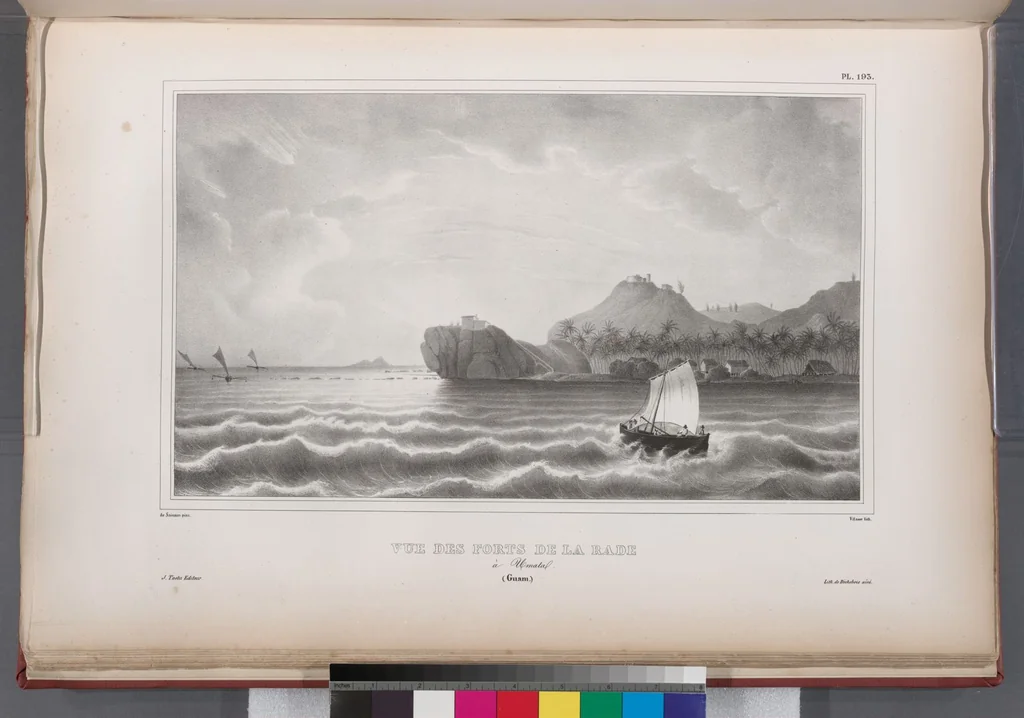An illustration from Voyage de la corvette l'Astrolabe exécuté par ordre du roi, pendant les années 1826-1827-1828-1829, sous le commandement de M. J. Dumont d'Urville, 1830, leaf 204