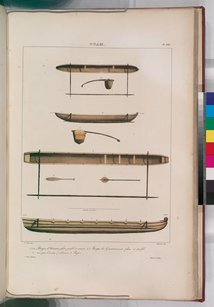 An illustration from Voyage de la corvette l'Astrolabe exécuté par ordre du roi, pendant les années 1826-1827-1828-1829, sous le commandement de M. J. Dumont d'Urville, 1830, leaf 207