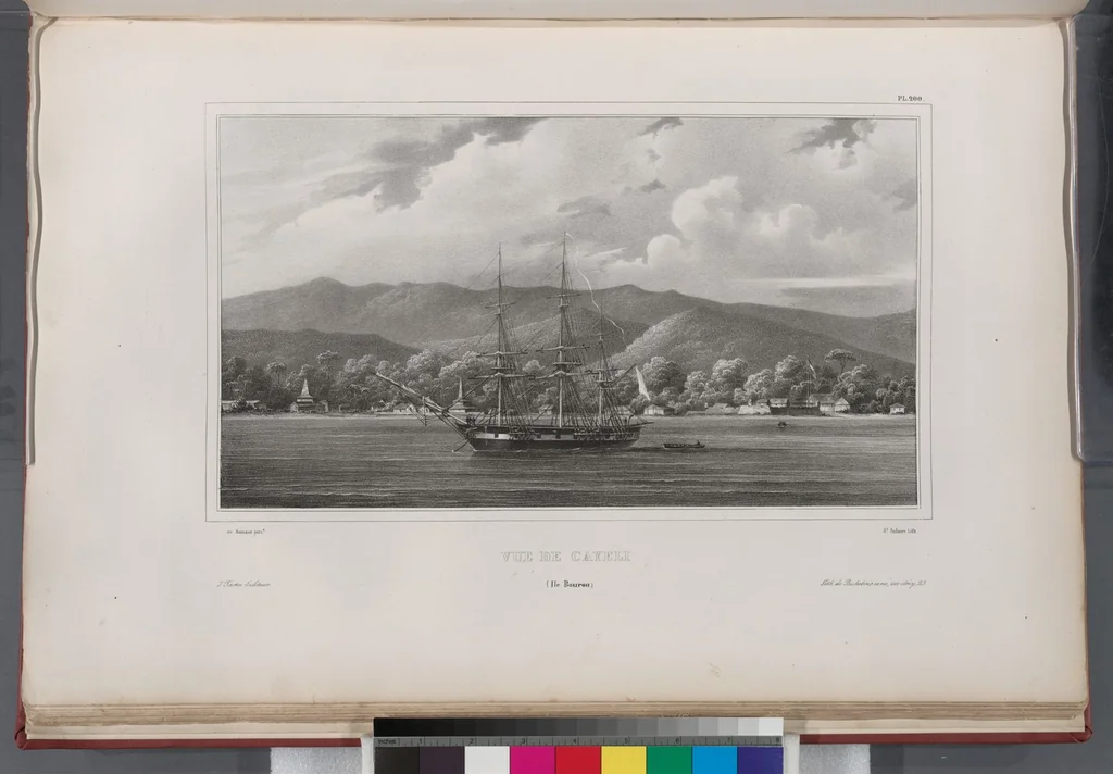 An illustration from Voyage de la corvette l'Astrolabe exécuté par ordre du roi, pendant les années 1826-1827-1828-1829, sous le commandement de M. J. Dumont d'Urville, 1830, leaf 209