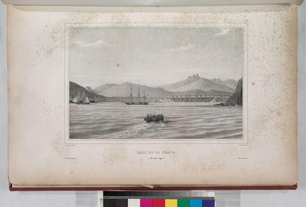 An illustration from Voyage de la corvette l'Astrolabe exécuté par ordre du roi, pendant les années 1826-1827-1828-1829, sous le commandement de M. J. Dumont d'Urville, 1830, leaf 21
