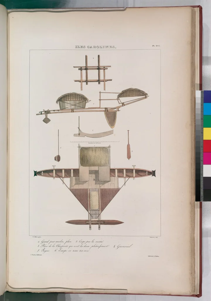 An illustration from Voyage de la corvette l'Astrolabe exécuté par ordre du roi, pendant les années 1826-1827-1828-1829, sous le commandement de M. J. Dumont d'Urville, 1830, leaf 211