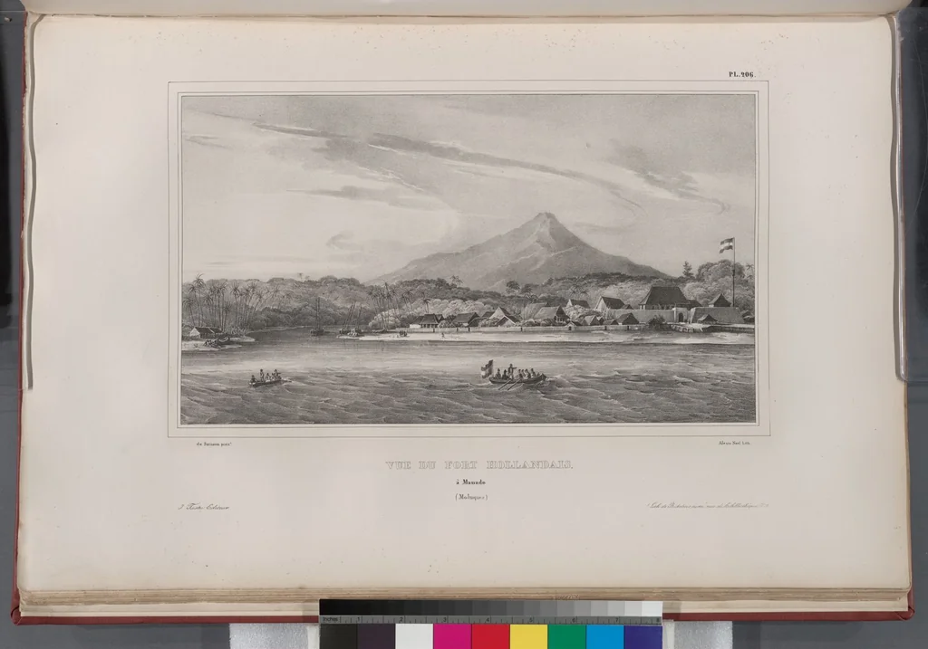 An illustration from Voyage de la corvette l'Astrolabe exécuté par ordre du roi, pendant les années 1826-1827-1828-1829, sous le commandement de M. J. Dumont d'Urville, 1830, leaf 214