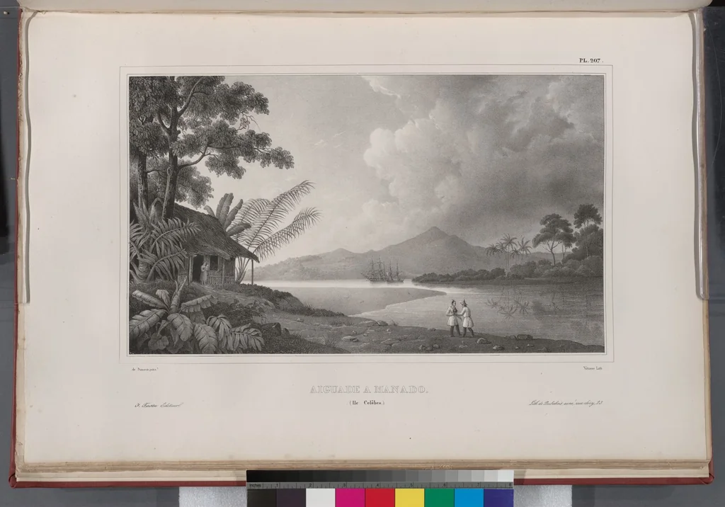 An illustration from Voyage de la corvette l'Astrolabe exécuté par ordre du roi, pendant les années 1826-1827-1828-1829, sous le commandement de M. J. Dumont d'Urville, 1830, leaf 215