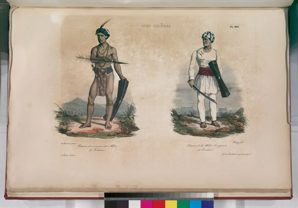 An illustration from Voyage de la corvette l'Astrolabe exécuté par ordre du roi, pendant les années 1826-1827-1828-1829, sous le commandement de M. J. Dumont d'Urville, 1830, leaf 217