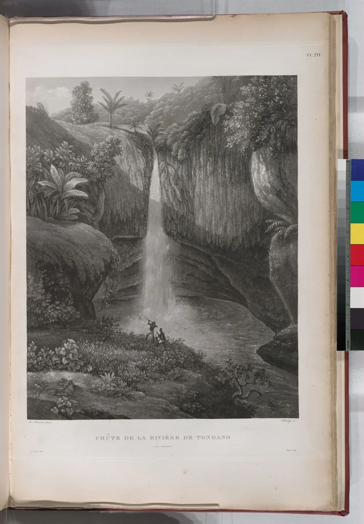 An illustration from Voyage de la corvette l'Astrolabe exécuté par ordre du roi, pendant les années 1826-1827-1828-1829, sous le commandement de M. J. Dumont d'Urville, 1830, leaf 219