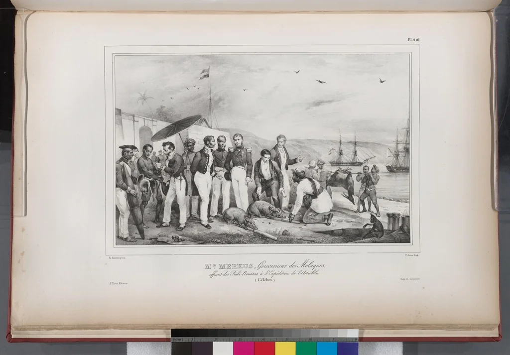An illustration from Voyage de la corvette l'Astrolabe exécuté par ordre du roi, pendant les années 1826-1827-1828-1829, sous le commandement de M. J. Dumont d'Urville, 1830, leaf 224