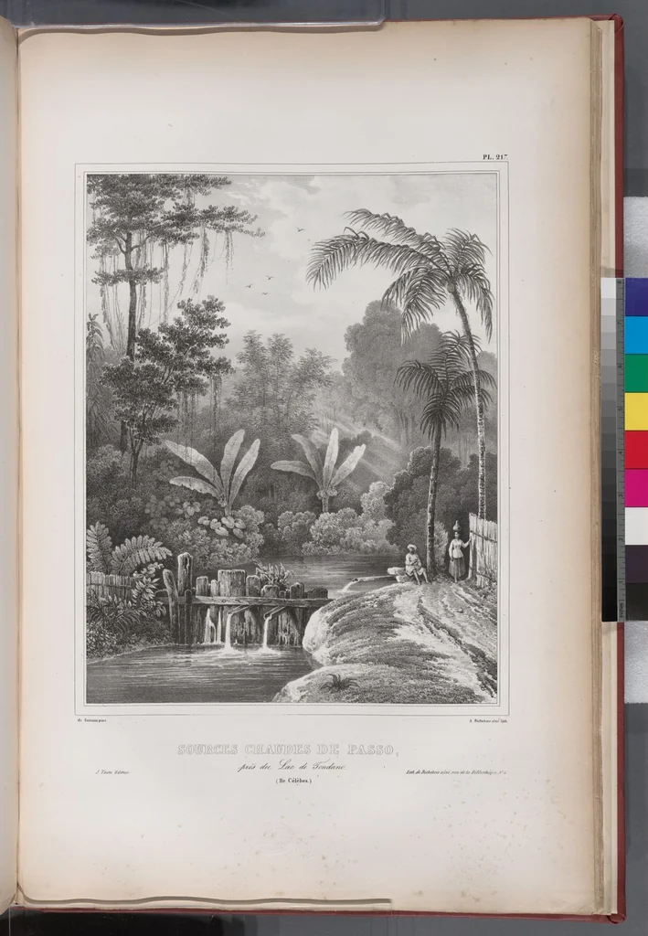 An illustration from Voyage de la corvette l'Astrolabe exécuté par ordre du roi, pendant les années 1826-1827-1828-1829, sous le commandement de M. J. Dumont d'Urville, 1830, leaf 225