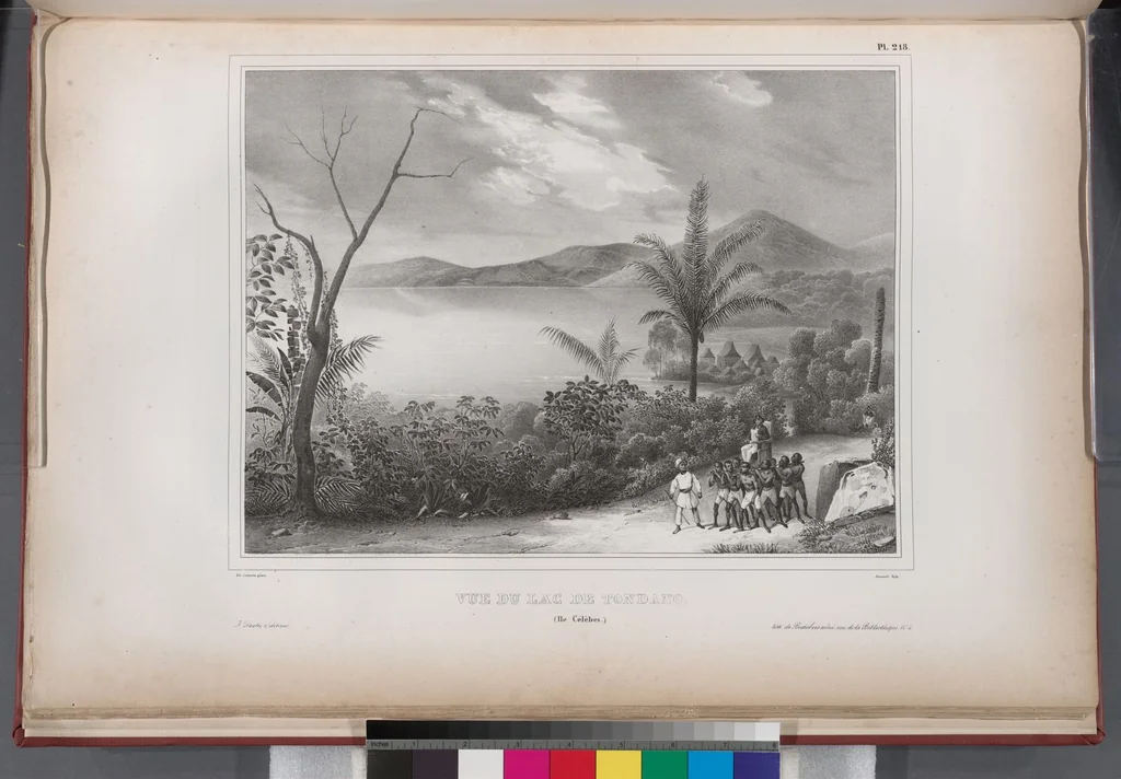 An illustration from Voyage de la corvette l'Astrolabe exécuté par ordre du roi, pendant les années 1826-1827-1828-1829, sous le commandement de M. J. Dumont d'Urville, 1830, leaf 226