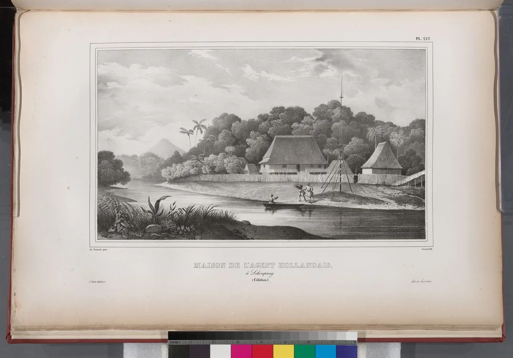 An illustration from Voyage de la corvette l'Astrolabe exécuté par ordre du roi, pendant les années 1826-1827-1828-1829, sous le commandement de M. J. Dumont d'Urville, 1830, leaf 227