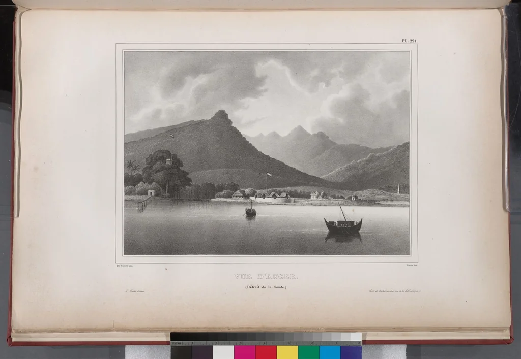 An illustration from Voyage de la corvette l'Astrolabe exécuté par ordre du roi, pendant les années 1826-1827-1828-1829, sous le commandement de M. J. Dumont d'Urville, 1830, leaf 229