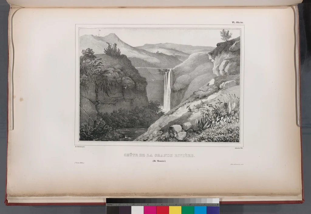 An illustration from Voyage de la corvette l'Astrolabe exécuté par ordre du roi, pendant les années 1826-1827-1828-1829, sous le commandement de M. J. Dumont d'Urville, 1830, leaf 230