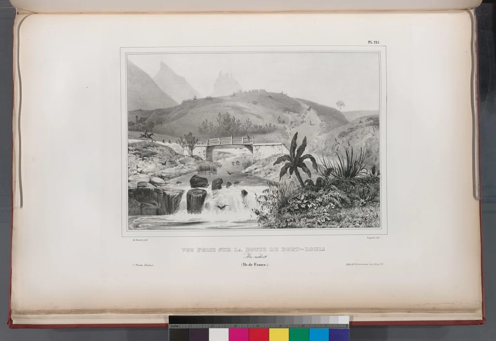An illustration from Voyage de la corvette l'Astrolabe exécuté par ordre du roi, pendant les années 1826-1827-1828-1829, sous le commandement de M. J. Dumont d'Urville, 1830, leaf 231