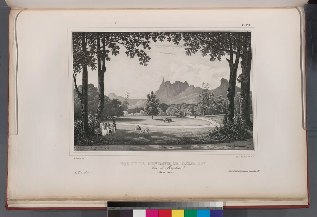 An illustration from Voyage de la corvette l'Astrolabe exécuté par ordre du roi, pendant les années 1826-1827-1828-1829, sous le commandement de M. J. Dumont d'Urville, 1830, leaf 232