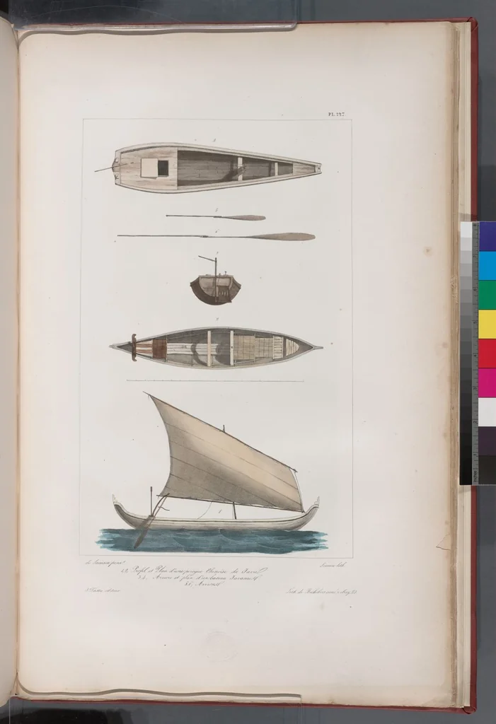 An illustration from Voyage de la corvette l'Astrolabe exécuté par ordre du roi, pendant les années 1826-1827-1828-1829, sous le commandement de M. J. Dumont d'Urville, 1830, leaf 233