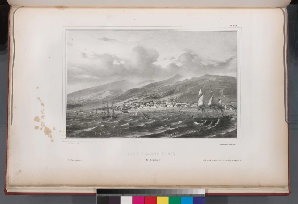 An illustration from Voyage de la corvette l'Astrolabe exécuté par ordre du roi, pendant les années 1826-1827-1828-1829, sous le commandement de M. J. Dumont d'Urville, 1830, leaf 235