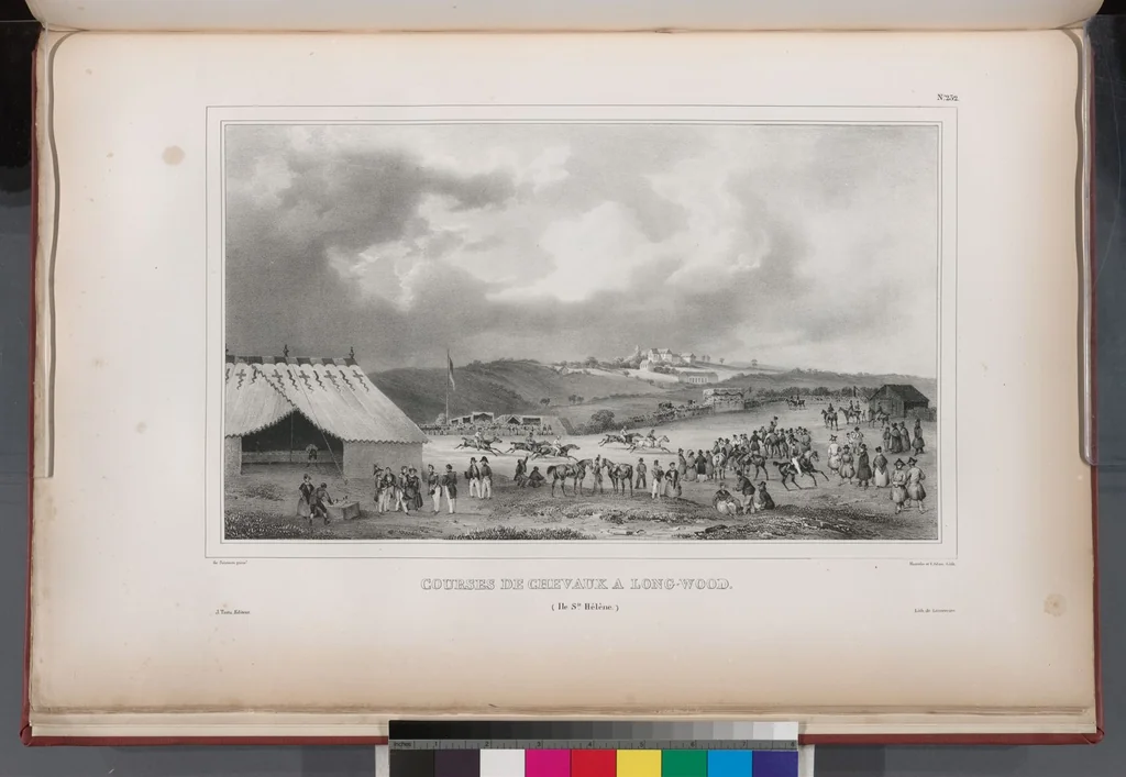 An illustration from Voyage de la corvette l'Astrolabe exécuté par ordre du roi, pendant les années 1826-1827-1828-1829, sous le commandement de M. J. Dumont d'Urville, 1830, leaf 238