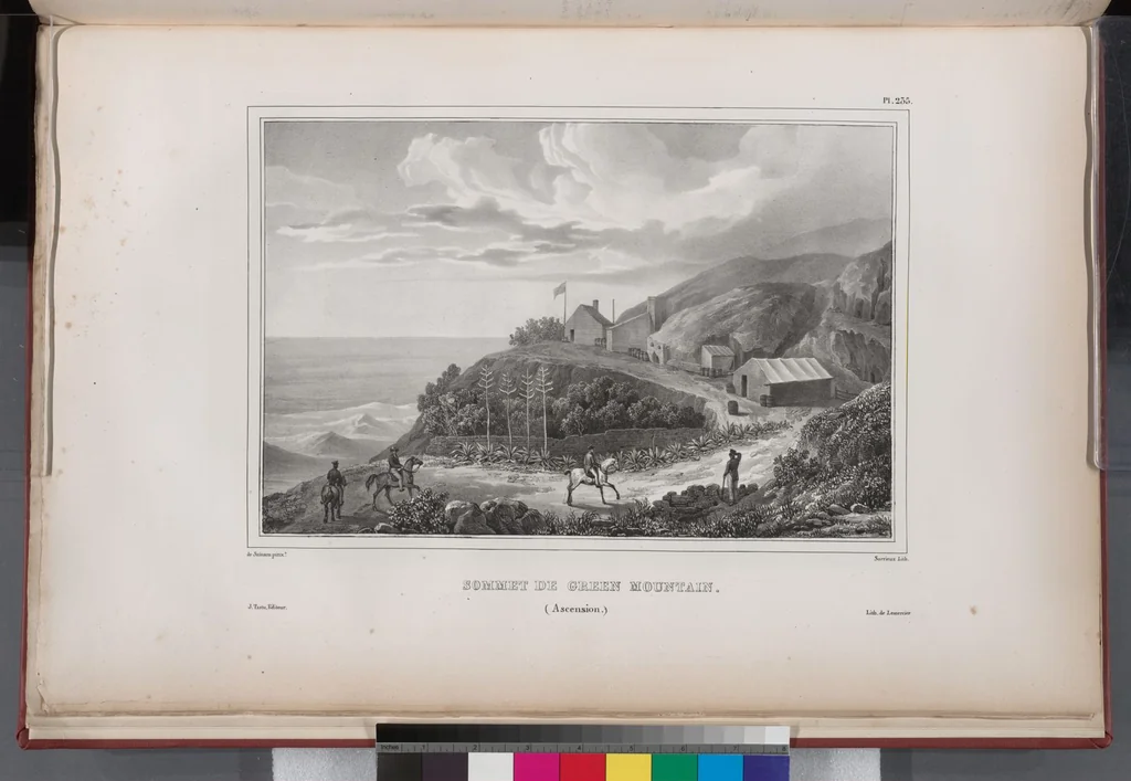 An illustration from Voyage de la corvette l'Astrolabe exécuté par ordre du roi, pendant les années 1826-1827-1828-1829, sous le commandement de M. J. Dumont d'Urville, 1830, leaf 241