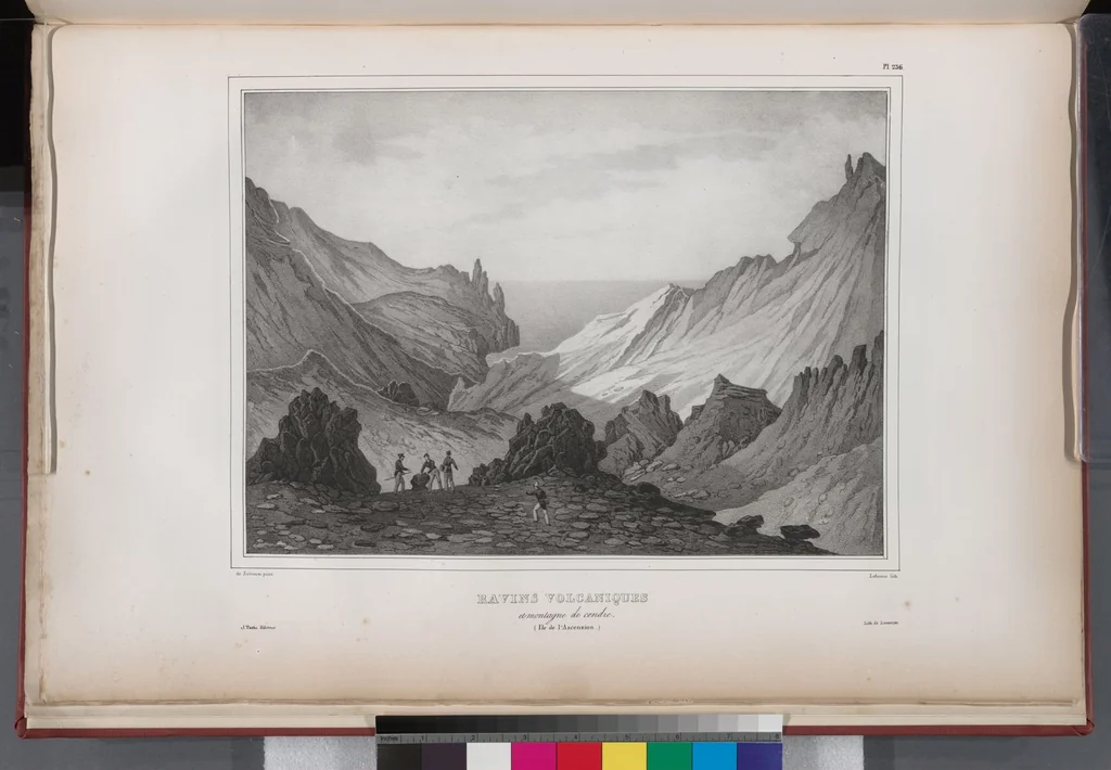 An illustration from Voyage de la corvette l'Astrolabe exécuté par ordre du roi, pendant les années 1826-1827-1828-1829, sous le commandement de M. J. Dumont d'Urville, 1830, leaf 242