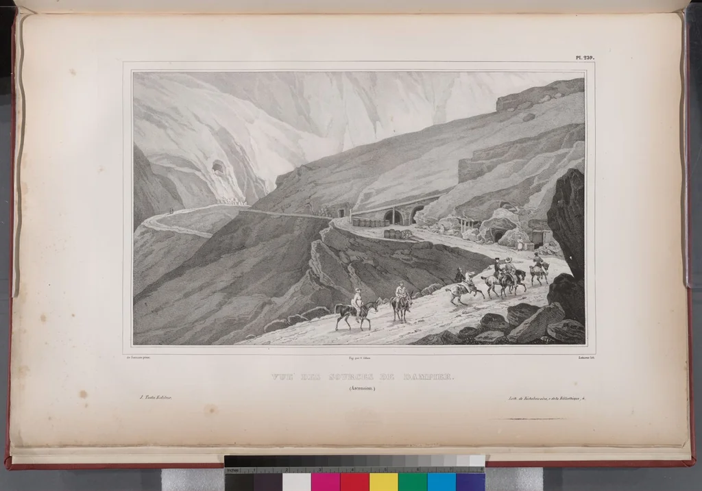 An illustration from Voyage de la corvette l'Astrolabe exécuté par ordre du roi, pendant les années 1826-1827-1828-1829, sous le commandement de M. J. Dumont d'Urville, 1830, leaf 244