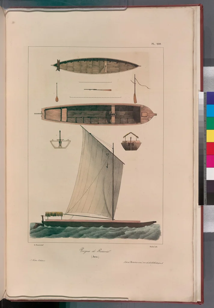 An illustration from Voyage de la corvette l'Astrolabe exécuté par ordre du roi, pendant les années 1826-1827-1828-1829, sous le commandement de M. J. Dumont d'Urville, 1830, leaf 245