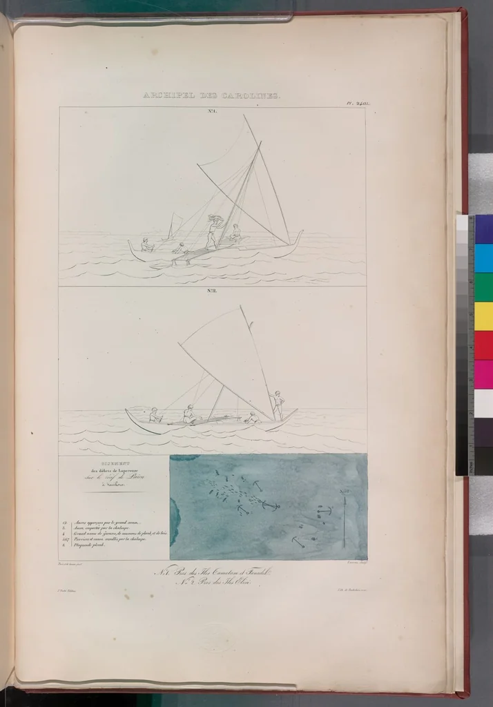 An illustration from Voyage de la corvette l'Astrolabe exécuté par ordre du roi, pendant les années 1826-1827-1828-1829, sous le commandement de M. J. Dumont d'Urville, 1830, leaf 246