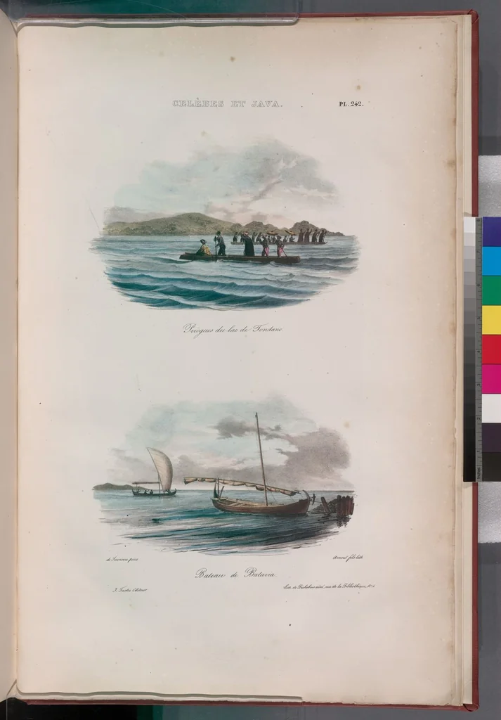 An illustration from Voyage de la corvette l'Astrolabe exécuté par ordre du roi, pendant les années 1826-1827-1828-1829, sous le commandement de M. J. Dumont d'Urville, 1830, leaf 248