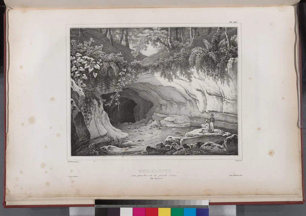 An illustration from Voyage de la corvette l'Astrolabe exécuté par ordre du roi, pendant les années 1826-1827-1828-1829, sous le commandement de M. J. Dumont d'Urville, 1830, leaf 249