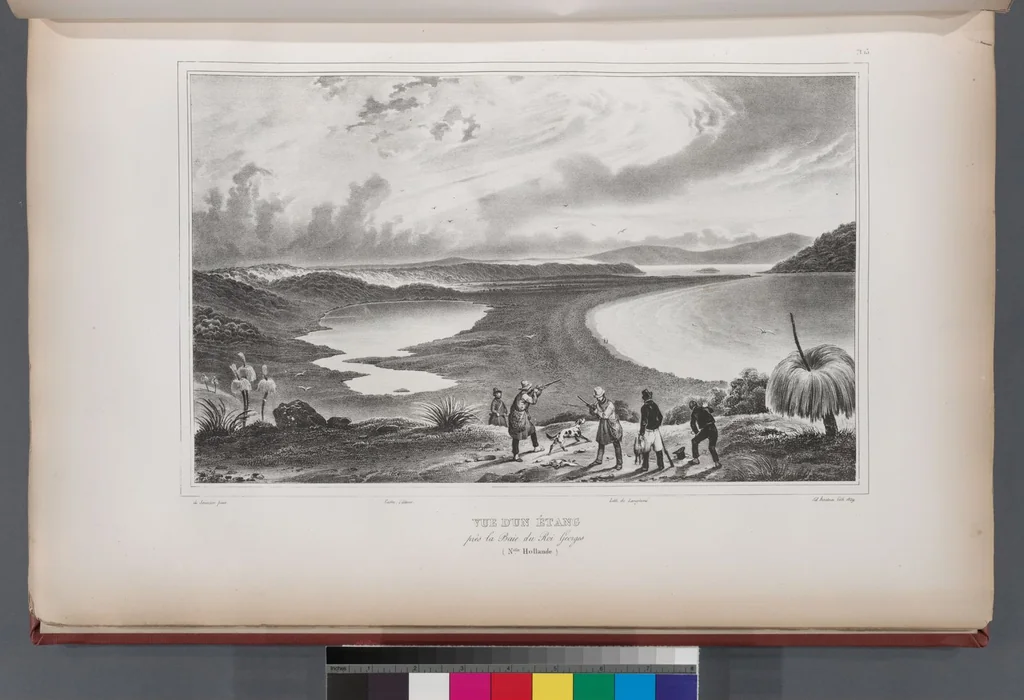 An illustration from Voyage de la corvette l'Astrolabe exécuté par ordre du roi, pendant les années 1826-1827-1828-1829, sous le commandement de M. J. Dumont d'Urville, 1830, leaf 25