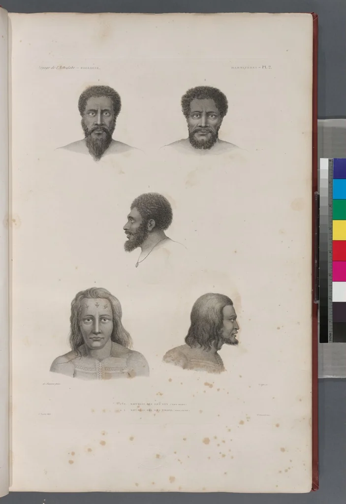 An illustration from Voyage de la corvette l'Astrolabe exécuté par ordre du roi, pendant les années 1826-1827-1828-1829, sous le commandement de M. J. Dumont d'Urville, 1830, leaf 251