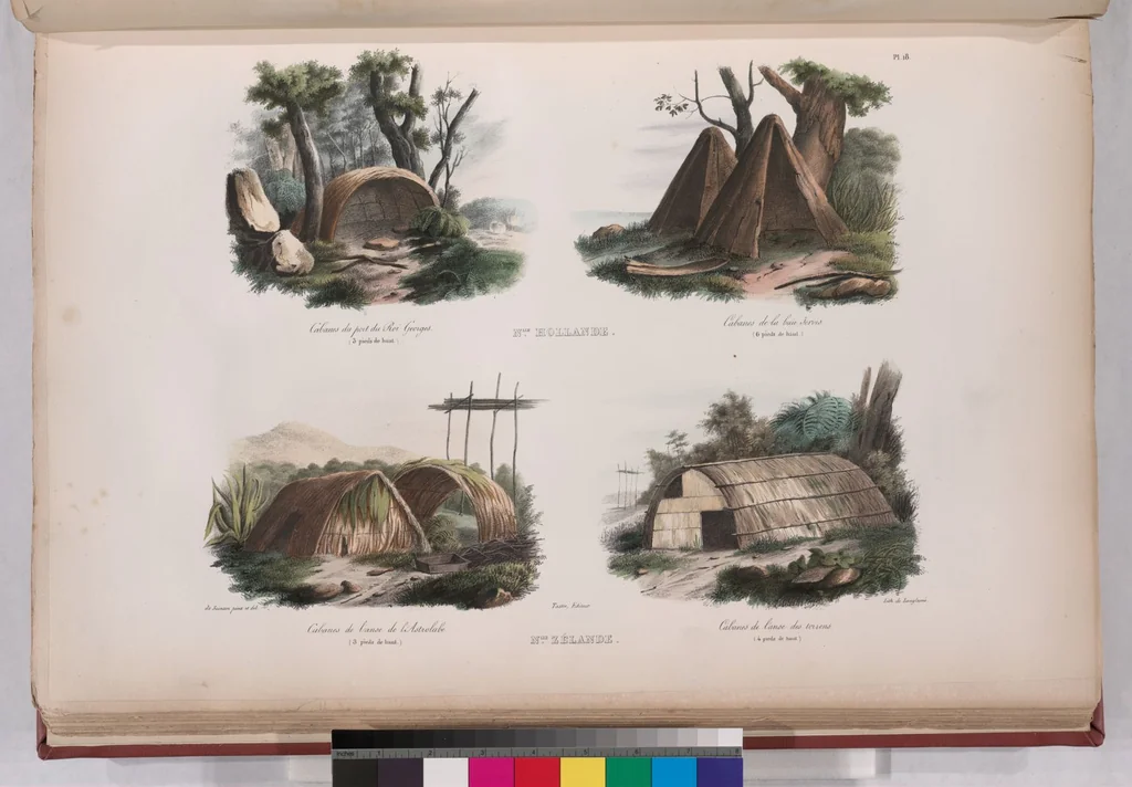 An illustration from Voyage de la corvette l'Astrolabe exécuté par ordre du roi, pendant les années 1826-1827-1828-1829, sous le commandement de M. J. Dumont d'Urville, 1830, leaf 28