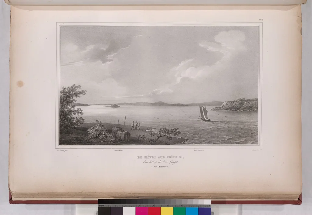 An illustration from Voyage de la corvette l'Astrolabe exécuté par ordre du roi, pendant les années 1826-1827-1828-1829, sous le commandement de M. J. Dumont d'Urville, 1830, leaf 29