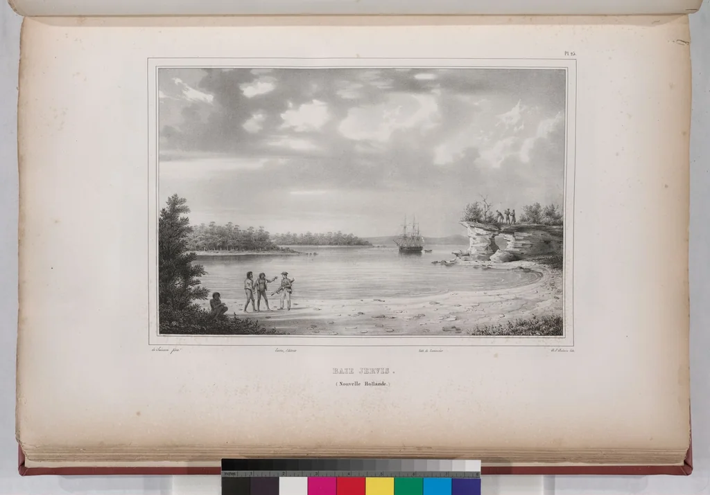 An illustration from Voyage de la corvette l'Astrolabe exécuté par ordre du roi, pendant les années 1826-1827-1828-1829, sous le commandement de M. J. Dumont d'Urville, 1830, leaf 35
